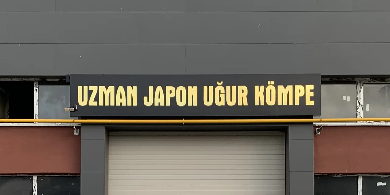 Uzman Japon Uğur Kömpe kapak görseli